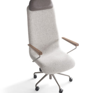 Cadeira Discovery Presidente 5H alumí. com pintura automotiva com relax rod. Pu Flange excêntrica – LP179 – Detalhe encosto PU070 – Braços Mel – Base HS12F(4)